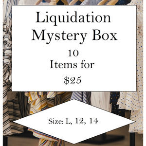 Womens Clothing Liquidation Mystery Box Size Large, 12, 14